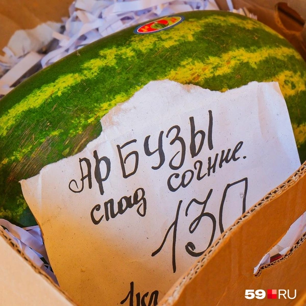 Продавцы порой пишут цены на подручной бумаге, и гарантируют, что арбузы «слад и сочные» | Источник: Тимофей Калмаков / 59.RU