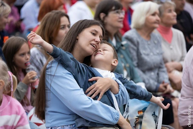 Источник: st.cherinfo.ru