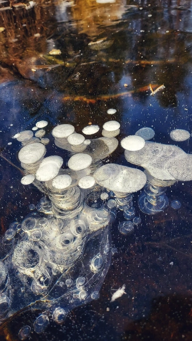 Источник: Анастасия Руднева / Vk.com