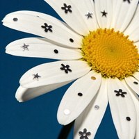 Аватарка Лиза Горбунчи