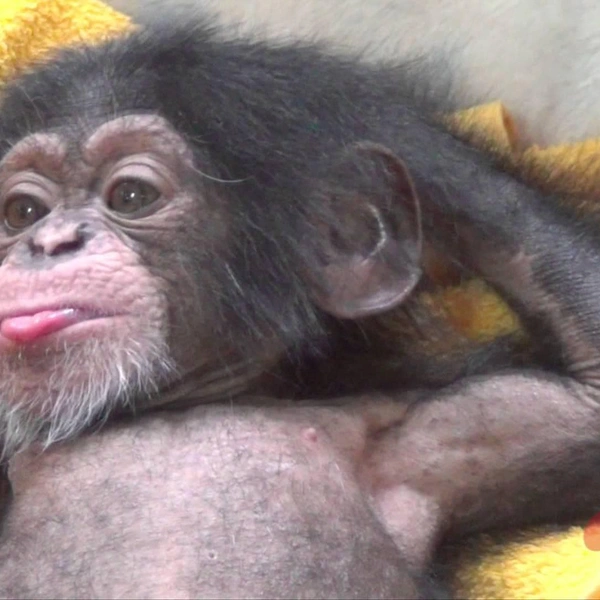 Источник: Соцсети