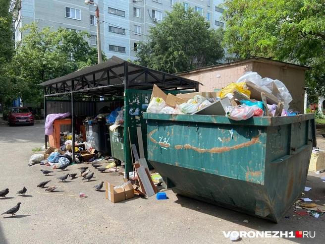 Источник: Дмитрий Волгин / Voronezh1.ru