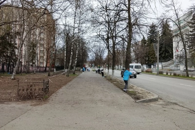 Благоустройство Пензы 26 апреля: побелка и уборка