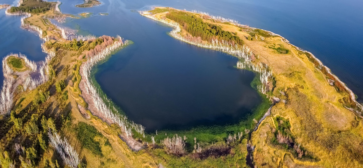 Мертвые моря а-ля рюс: соленые озера России