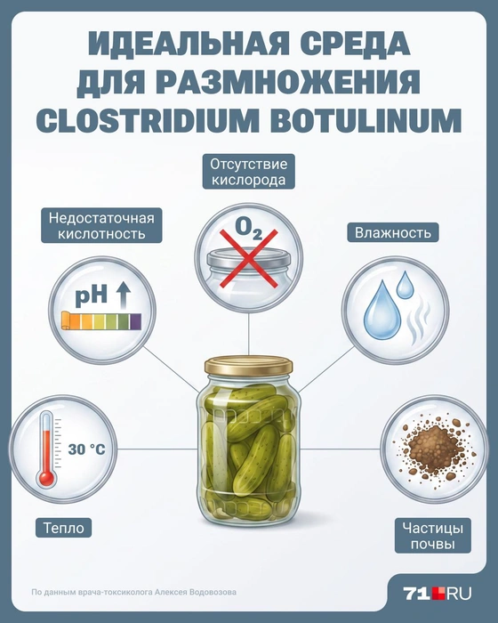 Обычно соления готовятся так, чтобы исключить заражение опасной флорой, но для Clostridium botulinum это идеальные условия | Источник: Юрий Скулыбердин / Городские медиа