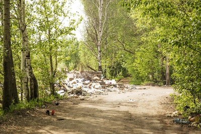 Депутаты Дона предлагают отбирать машины у "серых возчиков"