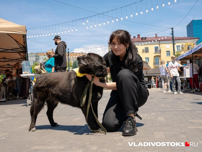 Она провела сотни мероприятий | Источник: Алиса Князева / VLADIVOSTOK1.RU