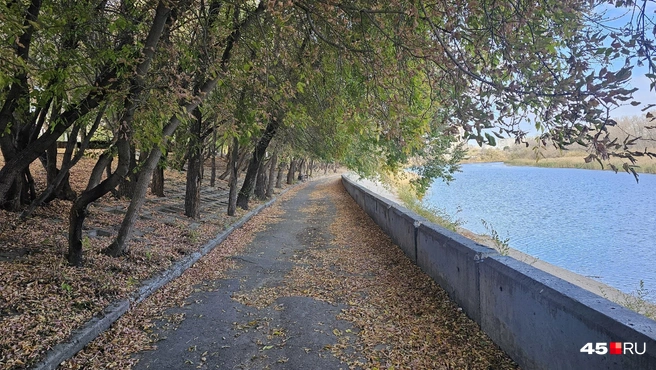 Набережная возле детского сада № 111 «Белоснежка» | Источник: Дарья Никитченко / 45.RU