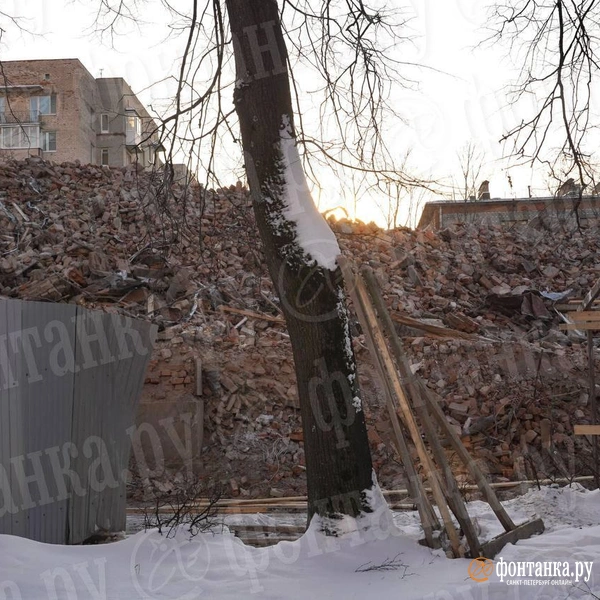Источник: Павел Даиси / FONTANKA.RU