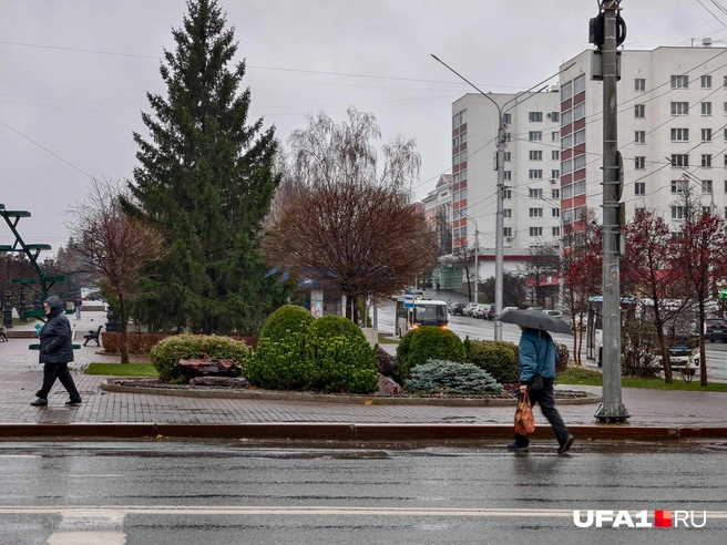 А все бегут, бегут, бегут… | Источник: Булат Салихов / UFA1.RU