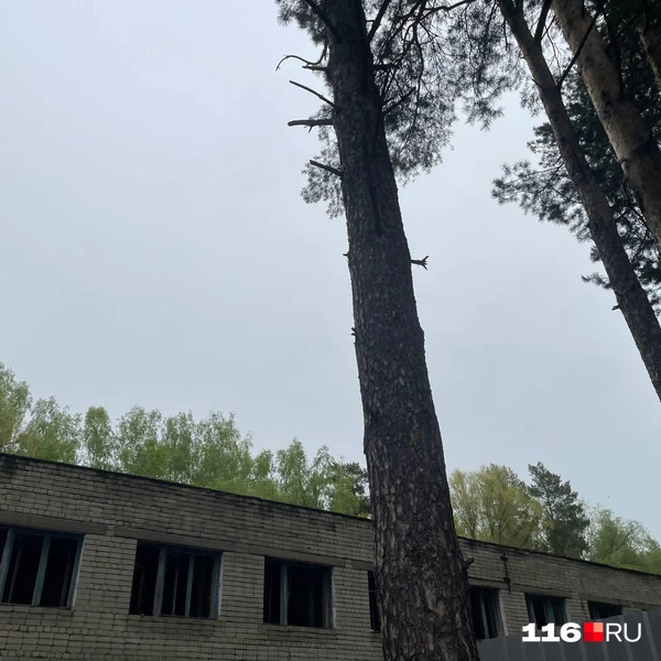 Источник: Маша Вишенина / 116.RU