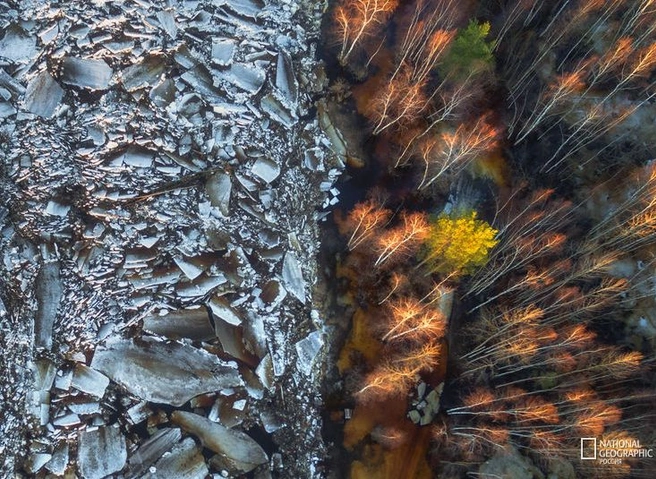 Снимок рязанского фотографа отметила редакция National Geographic | ya62.ru