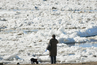 Новости ХМАО: ледоход, «Титаны» и необычные ягоды 6 апреля