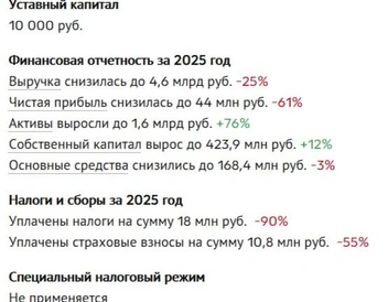 Финансовая отчетность | Источник: Checko.ru
