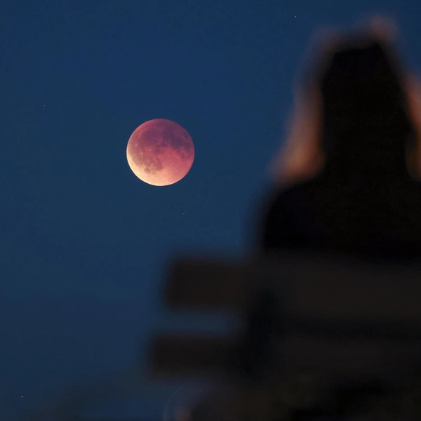 Германия, Лейпциг | Источник: Jan Woitas/picture alliance via Getty Images