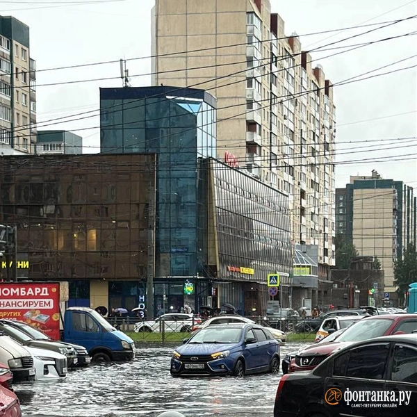 Источник: читатель «Фонтанки»