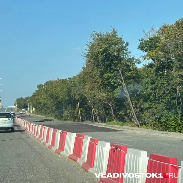 Источник: Елена Буйвол / VLADIVOSTOK1.RU