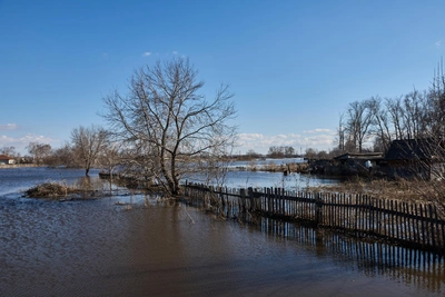 Уровень воды в Оби почти достиг 9 метров — подтопление грозит трем городам