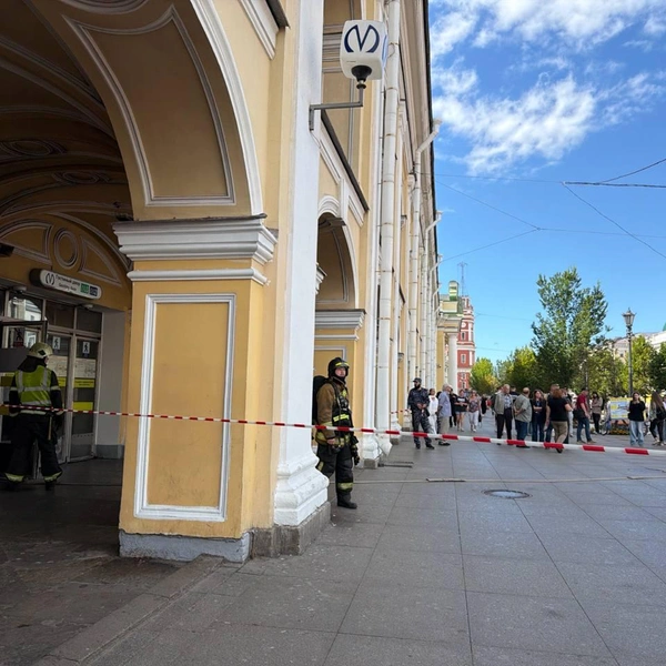 Источник: Евгения Горбунова / FONTANKA.RU