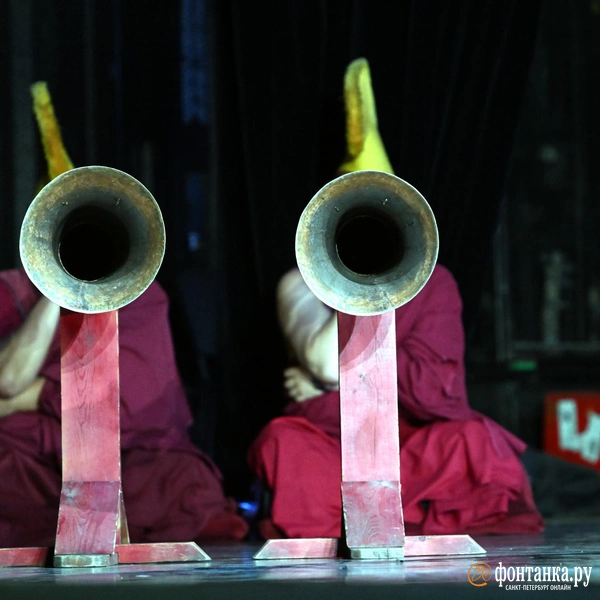 Источник: Илья Снопченко / «Фонтанка.ру»