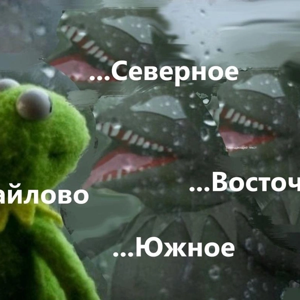 Источник: соцсети