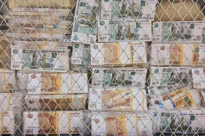 Ryazan Plant Faces Bankruptcy Over 117 Million Ruble Debt