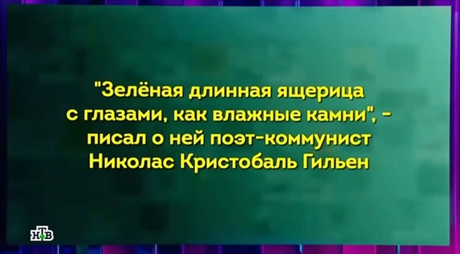 Источник: Tv-videoarchive.ru
