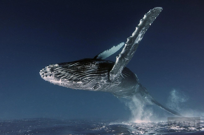 Источник: Alex Zozulya / Travel Photographer of the Year 2020