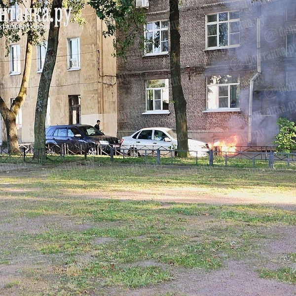 Источник: читатель «Фонтанки»