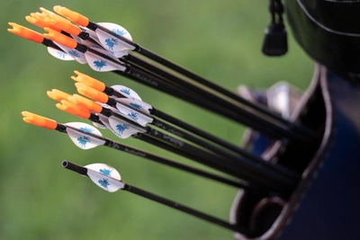 В Казани построят центр стрельбы из лука за миллиард рублей