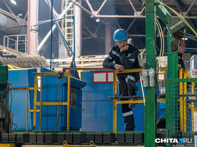 Правительство уже одобрило создание ОЭЗ | Источник: Олег Фёдоров / CHITA.RU