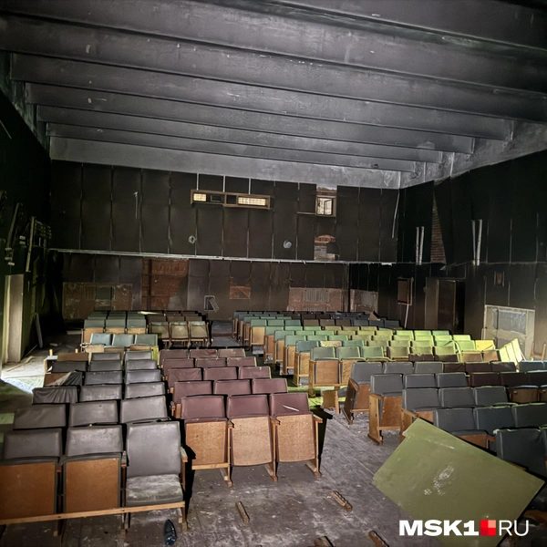 Источник: Алина Мельникова / MSK1.RU