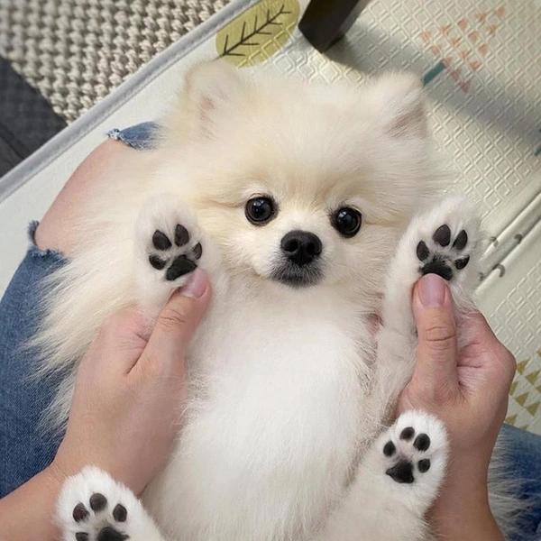 Источник: соцсети