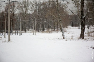 В Череповце отремонтируют проезд вокруг парка Победы