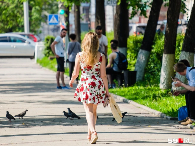 В эти дни в город пришла уже летняя жара | Источник: Тимофей Калмаков / 59.RU