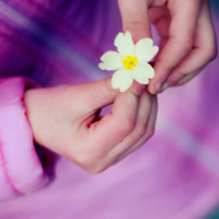 Аватарка Romanova