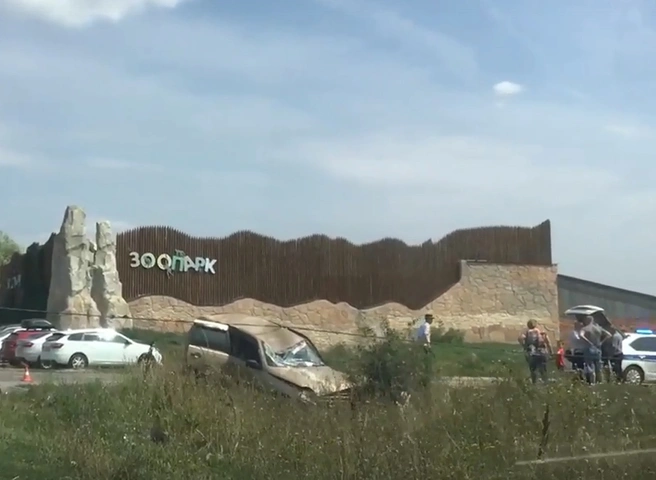 У Ряжского зоопарка «Нива» после столкновения с другим авто врезалась в столб | ya62.ru