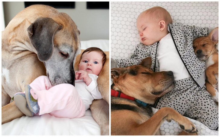 милые фото детей и собак