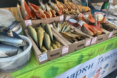 В Тюмени 24 октября пройдут продуктовые ярмарки
