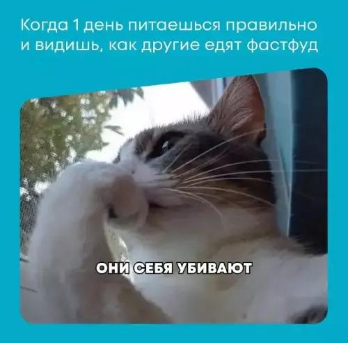 10 мемов о диетах, которые вызовут приступ смеха у всех худеющих