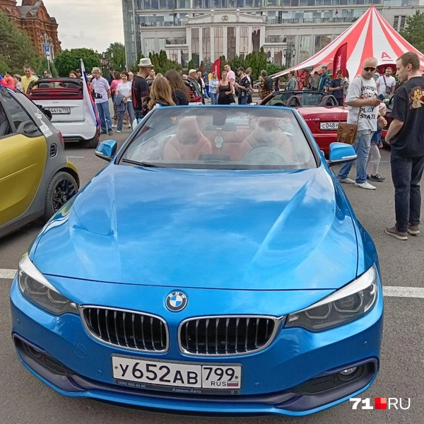 Нашли даже BMW | Источник: Максим Улитов / 71.RU