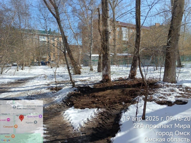 Депутат сразу скинула фотографии территории, когда вывезли мусор  | Источник: «Фадина общается. 2.0.» / T.me