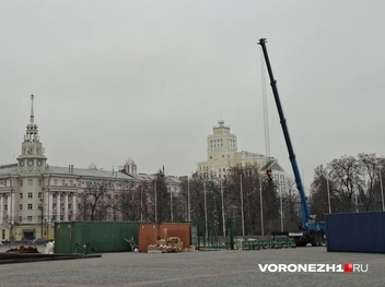 Источник: Алёна Воропаева / Voronezh1.ru