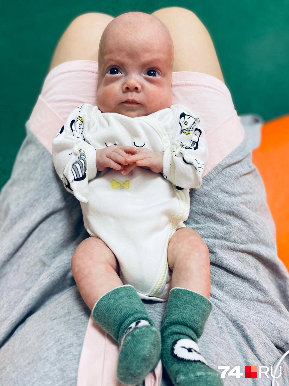 Только посмотрите, какой серьезный взгляд! | Источник: Елена Куранина