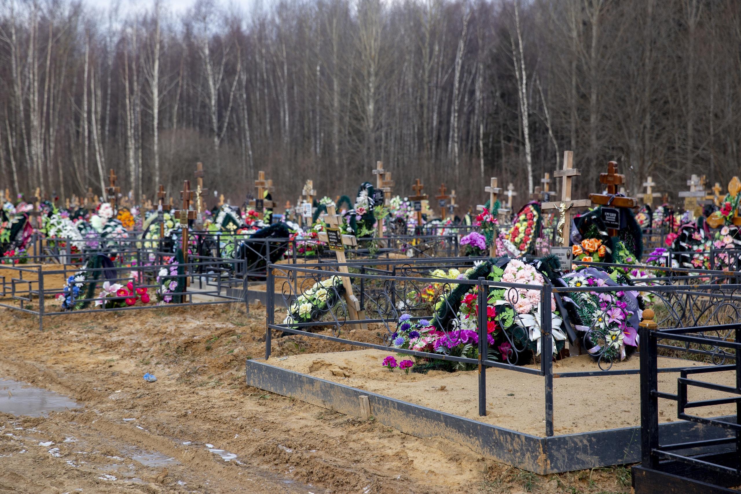 Осташинское кладбище в Ярославле: где разрешены захоронения, сколько мест  под могилы осталось - 16 октября 2023 - 76.ру