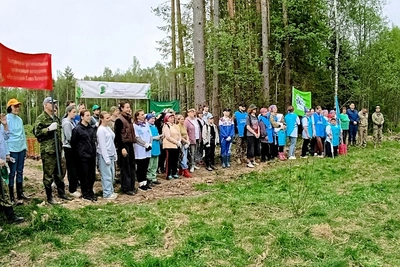 Кострома присоединилась к акции «Сад памяти»