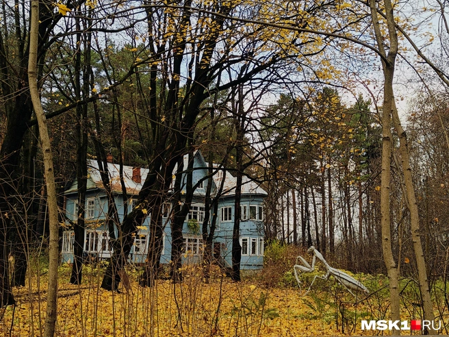 Источник: Полина Баранова / MSK1.RU