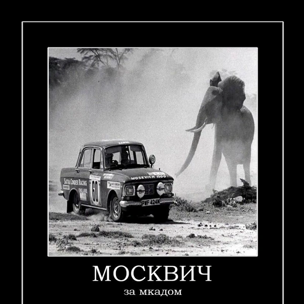 Источник: соцсети