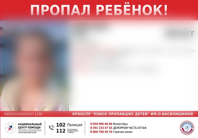 Старший из пропавших | Источник: «ПОИСК ПРОПАВШИХ ДЕТЕЙ» им. ОКСАНЫ ВАСИЛИШИНОЙ / vk.ru