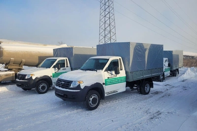Отлов бездомных собак в Челябинске перейдет городской службе